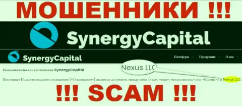 Юридическое лицо, владеющее internet мошенниками Synergy Capital - это Nexus LLC