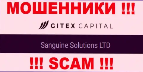 Юридическое лицо GitexCapital - это Сангин Солютионс ЛТД, такую инфу предоставили воры на своем сайте