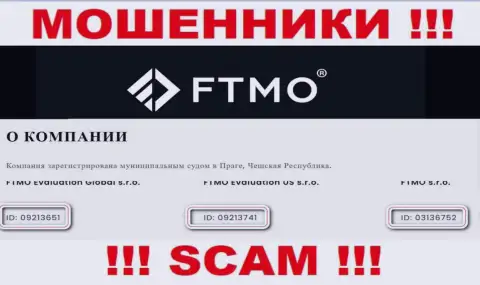 Компания FTMO разместила свой регистрационный номер на официальном интернет-сервисе - 09213651