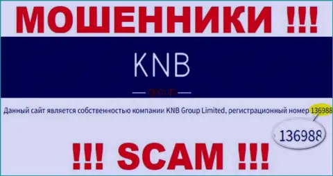 Регистрационный номер организации, которая владеет KNB-Group Net - 136988