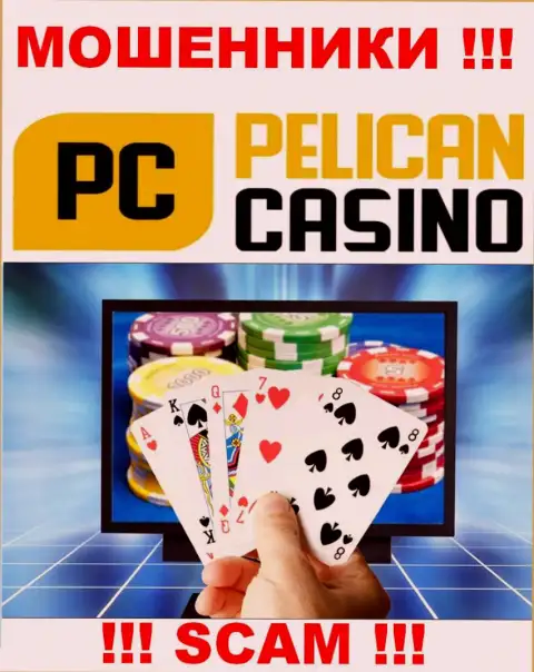 Pelican Casino дурачат неопытных людей, действуя в сфере - Казино