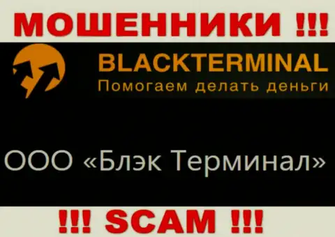На официальном интернет-сервисе BlackTerminal сообщается, что юридическое лицо компании - ООО Блэк Терминал