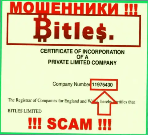 Номер регистрации махинаторов Битлес Лтд, с которыми не рекомендуем совместно работать - 11975430