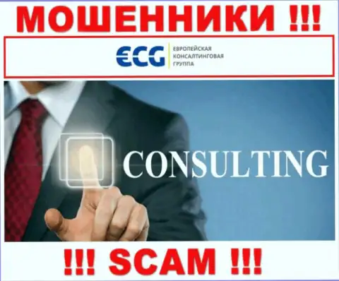 Consulting - тип деятельности противоправно действующей конторы EC-Group Com Ua