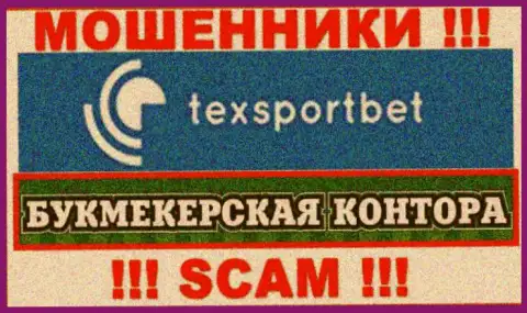 Направление деятельности мошенников ТексСпортБет - Букмекер, однако знайте это кидалово !!!