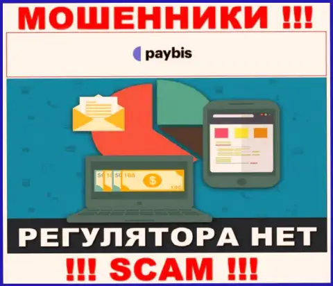 У PayBis на онлайн-ресурсе нет информации о регуляторе и лицензии конторы, а следовательно их вообще нет