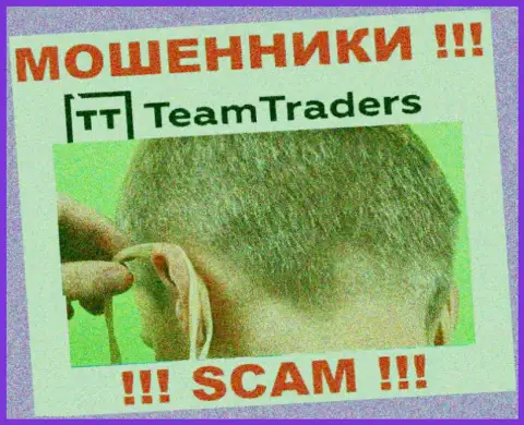 С организацией Team Traders заработать не получится, затянут в свою контору и ограбят подчистую