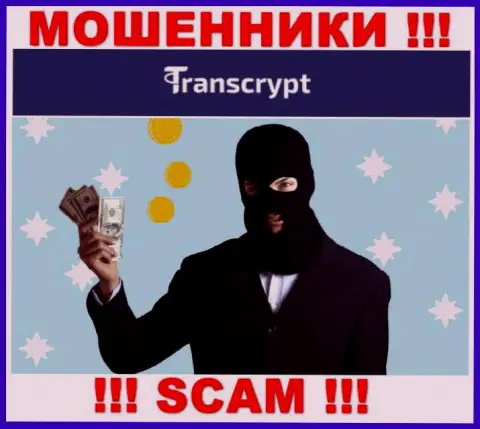 Довольно-таки рискованно соглашаться совместно работать с организацией TransCrypt Eu - опустошают кошелек