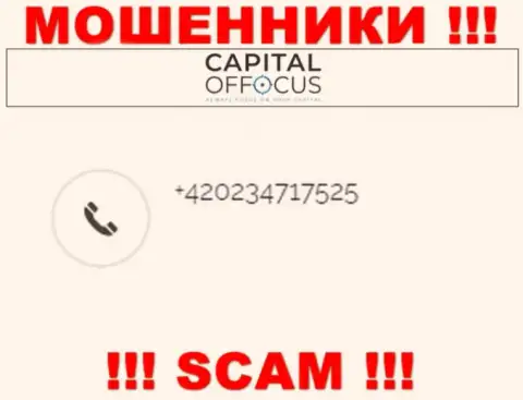 Не станьте пострадавшим от интернет-мошенников CapitalOfFocus, которые облапошивают малоопытных клиентов с разных телефонных номеров