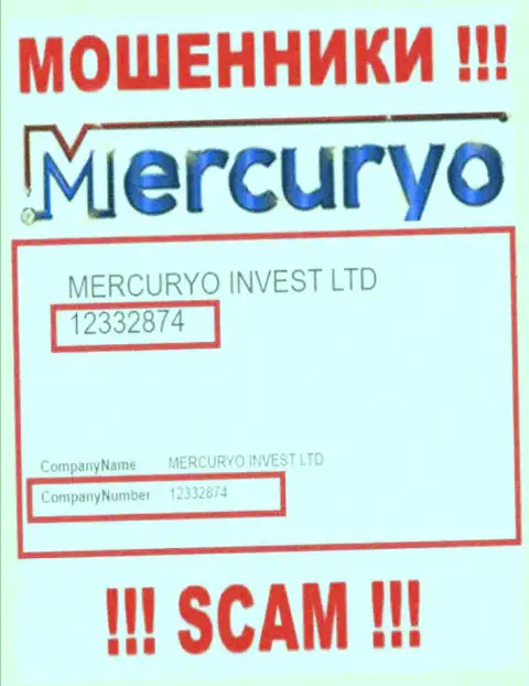 Номер регистрации незаконно действующей конторы Меркурио: 12332874