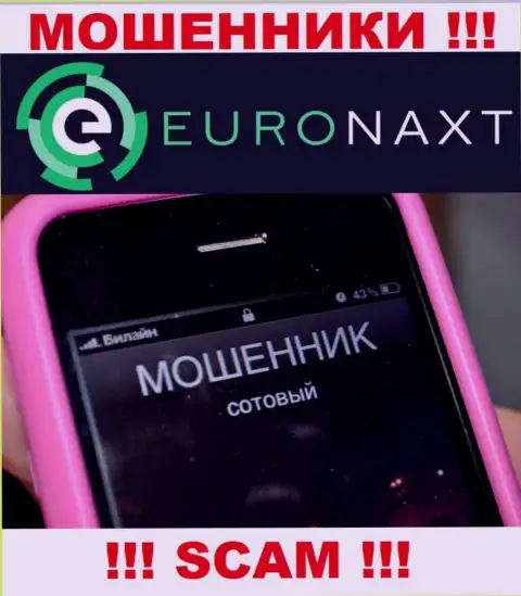 Вас намерены развести на финансовые средства, EuroNax в поиске новых наивных людей