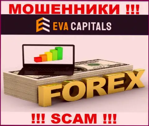 Forex - это именно то, чем занимаются интернет-жулики Eva Capitals