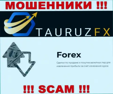 FOREX - это то, чем промышляют аферисты Tauruz FX
