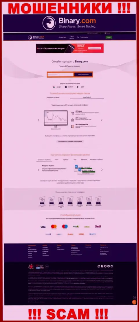 Фейковая информация от компании Binary на официальном веб-сервисе мошенников