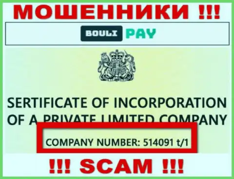 Номер регистрации Bouli Pay может быть и ненастоящий - 514091 t/1