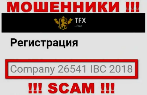 Номер регистрации, принадлежащий преступно действующей конторе TFX-Group Com: 26541 IBC 2018