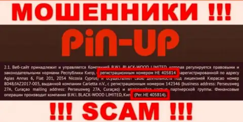 Номер регистрации кидал всемирной сети организации Pin-Up Casino - HE 405814