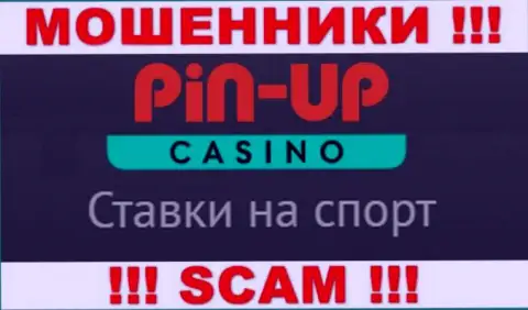 Основная деятельность Pin Up Casino - это Casino, будьте очень внимательны, промышляют противозаконно