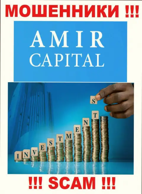 Не переводите накопления в Amir Capital, род деятельности которых - Инвестирование