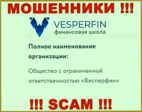 Сведения про юридическое лицо мошенников VesperFin Com - ООО Весперфин, не обезопасит Вас от их лап